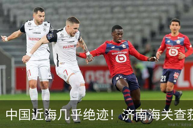 中国近海几乎绝迹！济南海关查获17只手镯，竟是由极危'国宝'制成