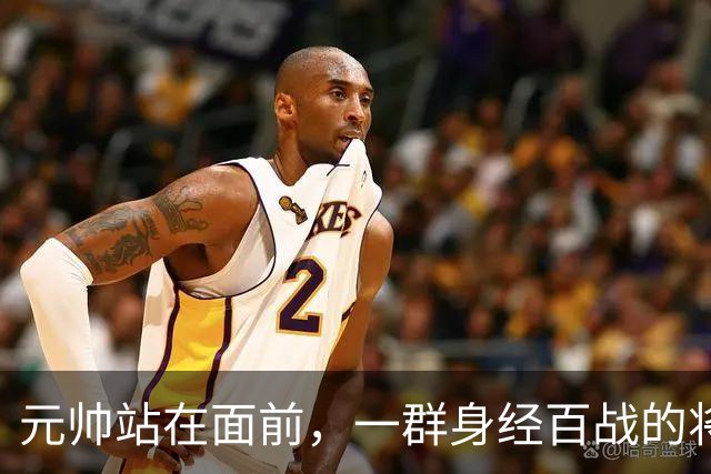 元帅站在面前，一群身经百战的将领没人敬礼，刘伯承沉默转身