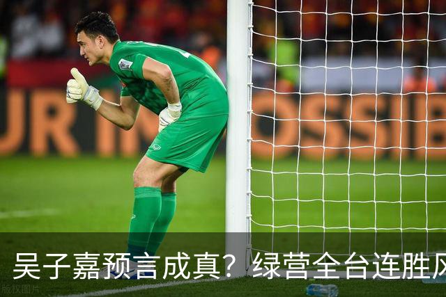 吴子嘉预言成真？绿营全台连胜风声起，蓝营候选人集体冒冷汗！