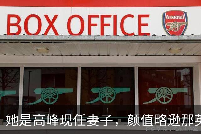 她是高峰现任妻子，颜值略逊那英，一家三口住北京郊区生活宁静