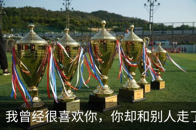 我曾经很喜欢你，你却和别人走了