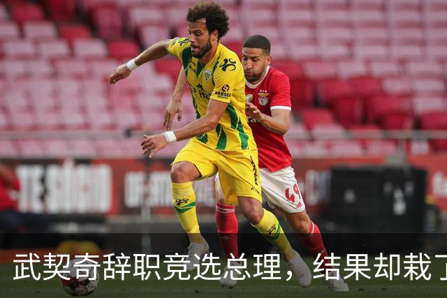 武契奇辞职竞选总理，结果却栽了跟头，新领导对华态度模棱两可
