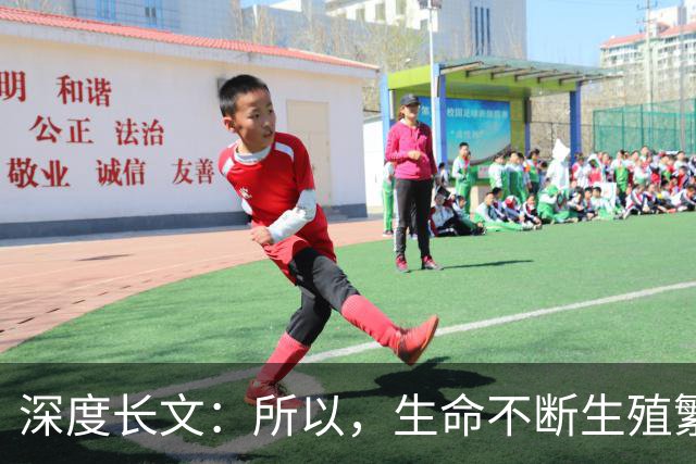 深度长文：所以，生命不断生殖繁衍的意义，到底是什么？