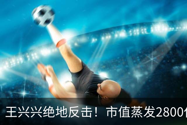 王兴兴绝地反击！市值蒸发2800亿后，宇树科技暴力反弹48%，称物理AI到临界点，行业竞争惨烈，害怕浪费每一天