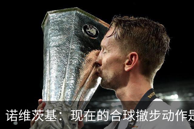 诺维茨基：现在的合球撤步动作是从火箭登开始的 已经有点失控了