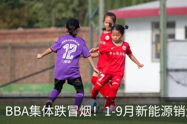 BBA集体跌冒烟！1-9月新能源销量榜出炉：比亚迪断崖第一